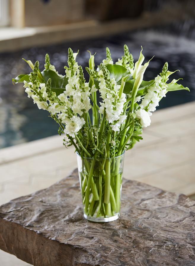 Breathtaker Hotel And Spa เมาต์บุลเลอร์ ภายนอก รูปภาพ